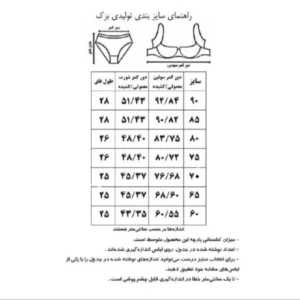 ست شورت و سوتین زنانه بزک مدل بدون فنر کد BI-6630